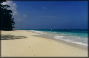 Eleuthera Bahamas beach