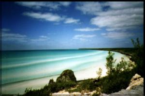 Bahamas beach  photo