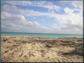 Beautiful beach 