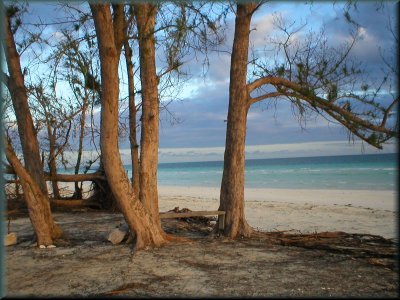 Beautiful Beaches - Bahamas
