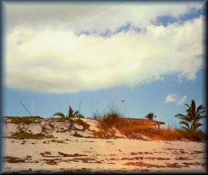 Bimini's beaches